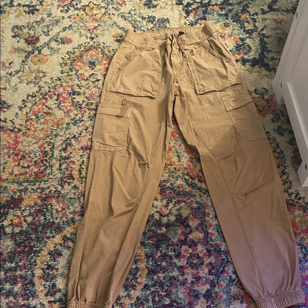 American Eagle Outfitters women tan Cargo Pants